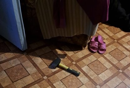 Житель Черепаново предстанет перед судом по обвинению в убийстве матери